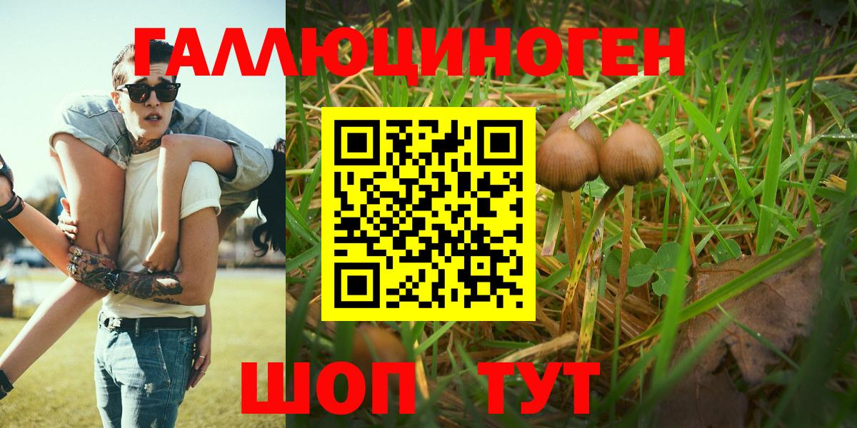 Галлюциногенные грибы Magic Shrooms Каспийск