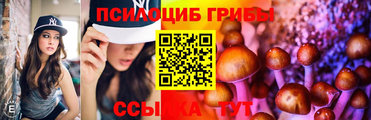 Псилоцибиновые грибы прущие грибы  Вход с VPN  Каспийск  Псилоцибиновые грибы мицелий 